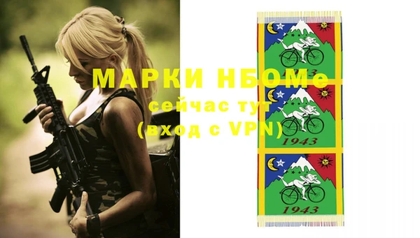 твердый Надым