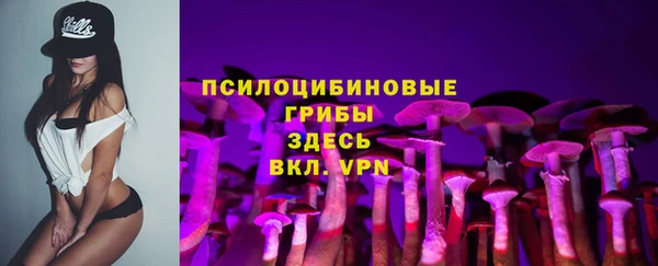 соль ск Навашино