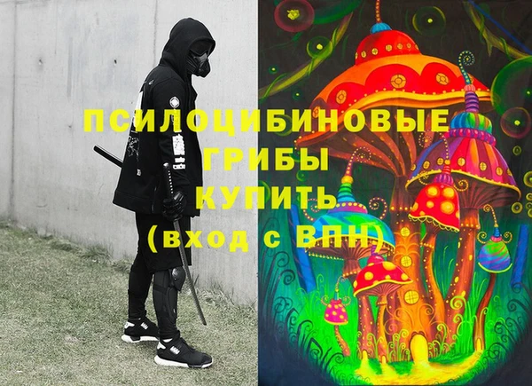твердый Надым