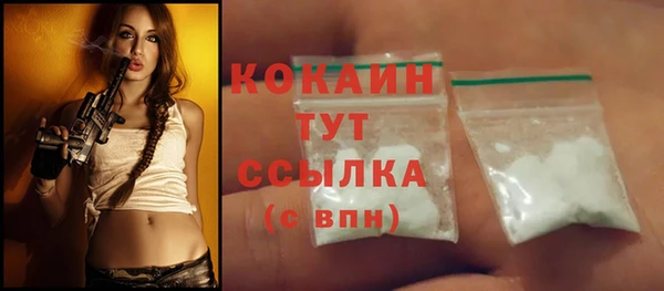 твердый Надым