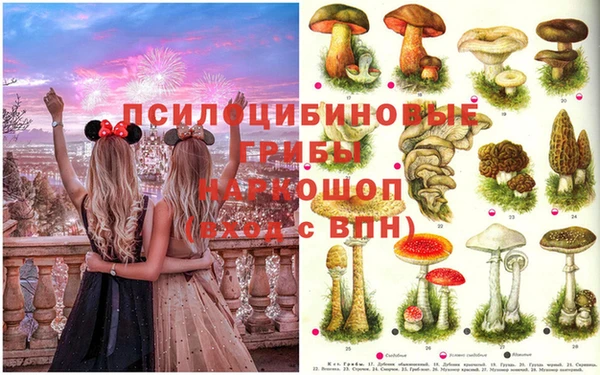 твердый Надым