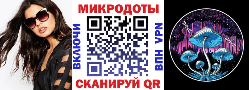 Псилоцибиновые грибы Psilocybine cubensis  Инза 